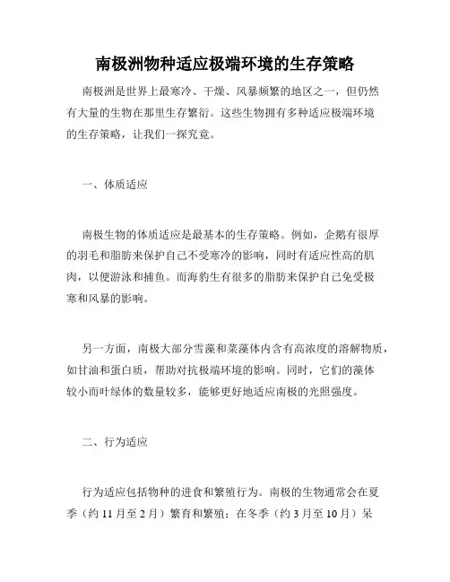南极洲物种适应极端环境的生存策略