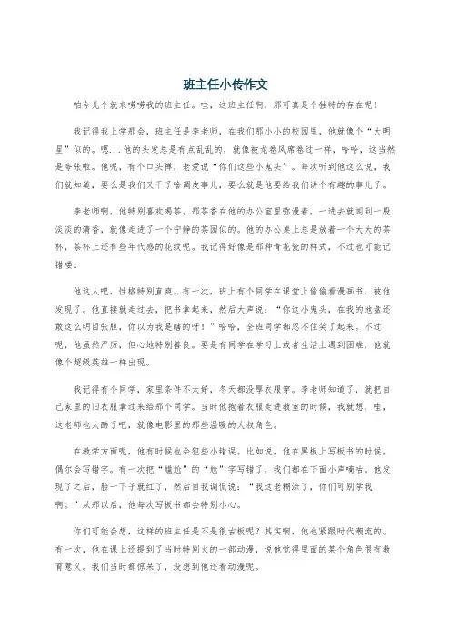 班主任小传作文