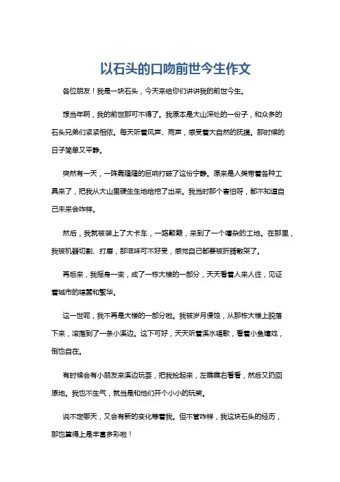 以石头的口吻前世今生作文
