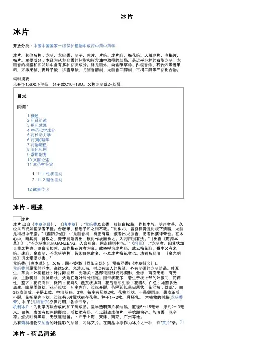 冰片——精选推荐