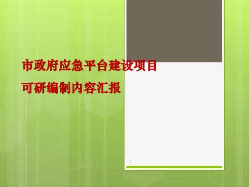 可研编制情况汇报