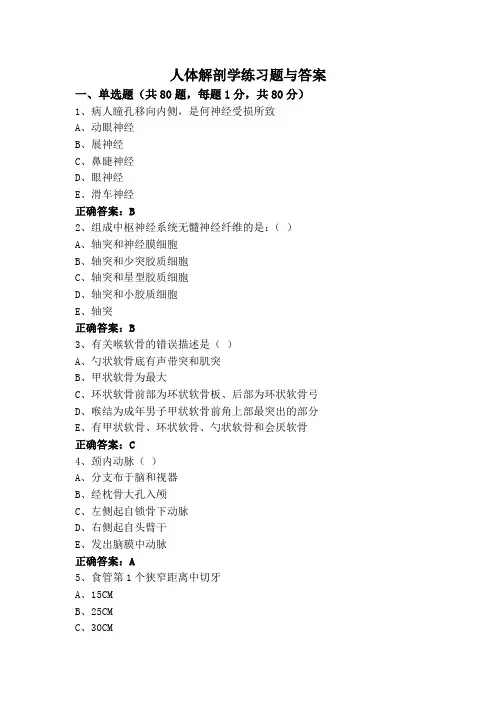 人体解剖学练习题与答案