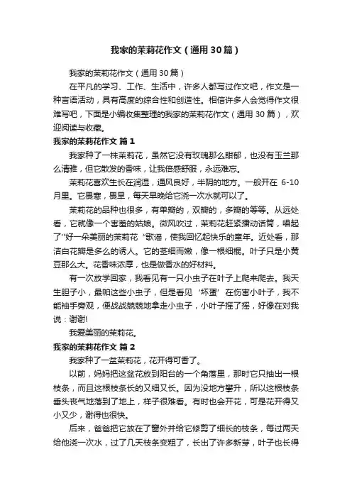 我家的茉莉花作文（通用30篇）