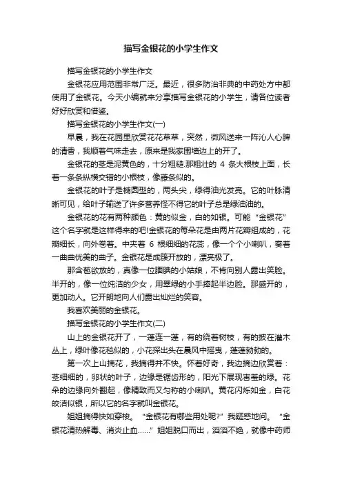 描写金银花的小学生作文
