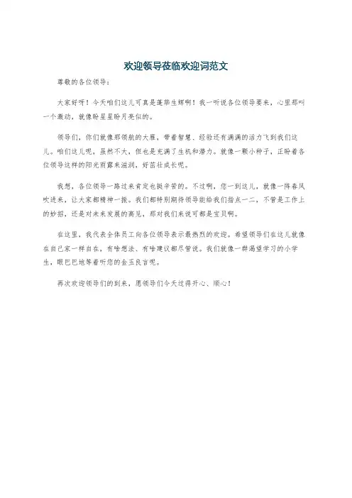 欢迎领导莅临欢迎词范文