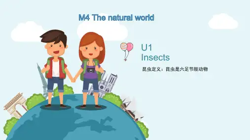M4U1 Insects 课件-三年级上学期英语(牛津上海版试用本)
