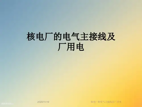 核电厂的电气主接线及厂用电