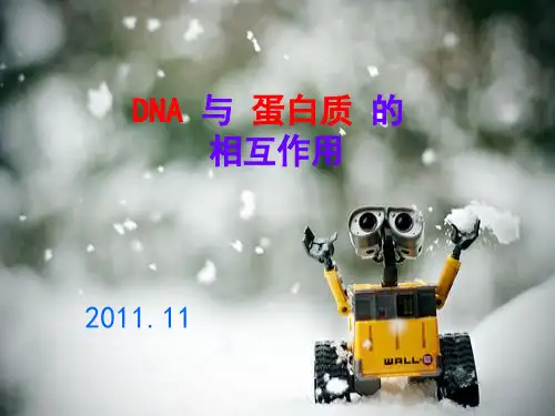 DNA与蛋白质的相互作用-生化课件