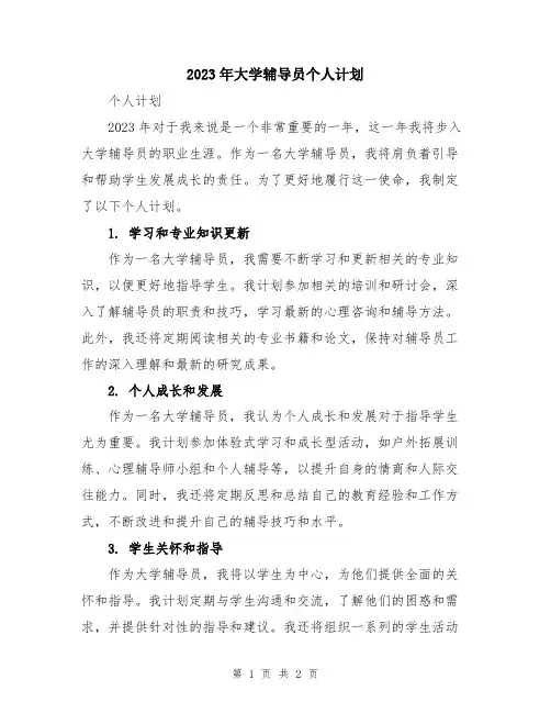 2023年大学辅导员个人计划