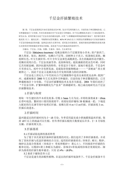 千层金扦插繁殖技术