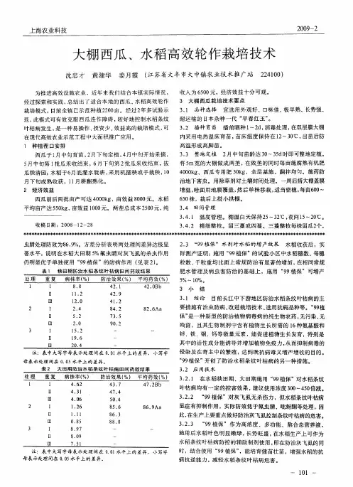 大棚西瓜、水稻高效轮作栽培技术