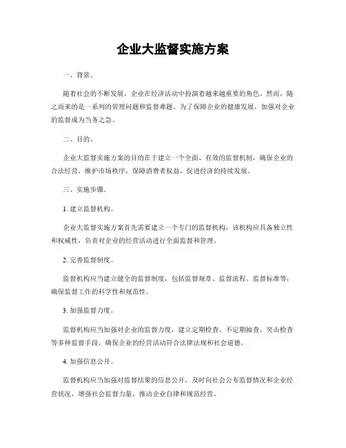 企业大监督实施方案