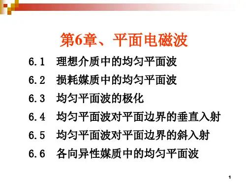 电磁场与电磁波平面电磁波PPT精选文档