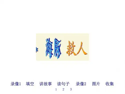 五年级语文下册 第2单元 8《海豚救人》课件2 语文S版
