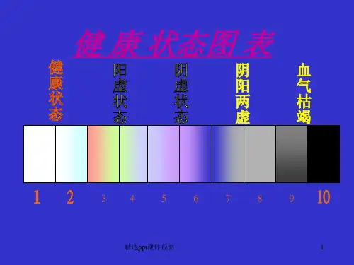 十二经络学PPT课件