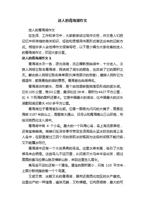 迷人的青海湖作文
