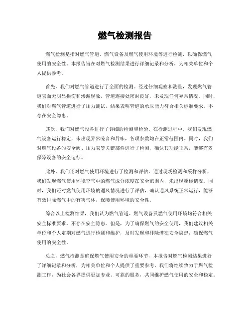 燃气检测报告