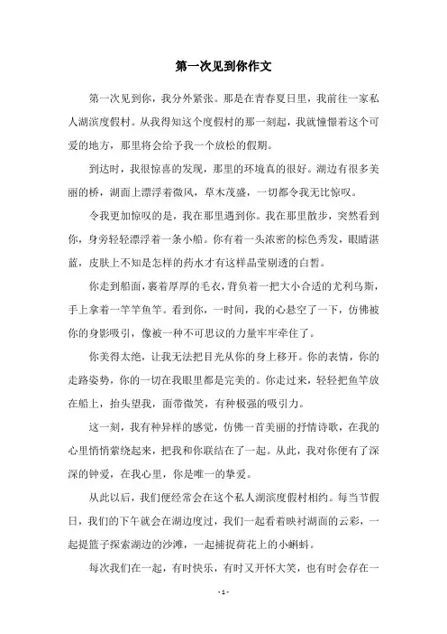 第一次见到你作文