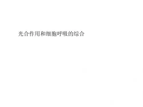 最新2015届高考生物一轮详细复习 光合作用和细胞呼吸的综合(课件 新人教版