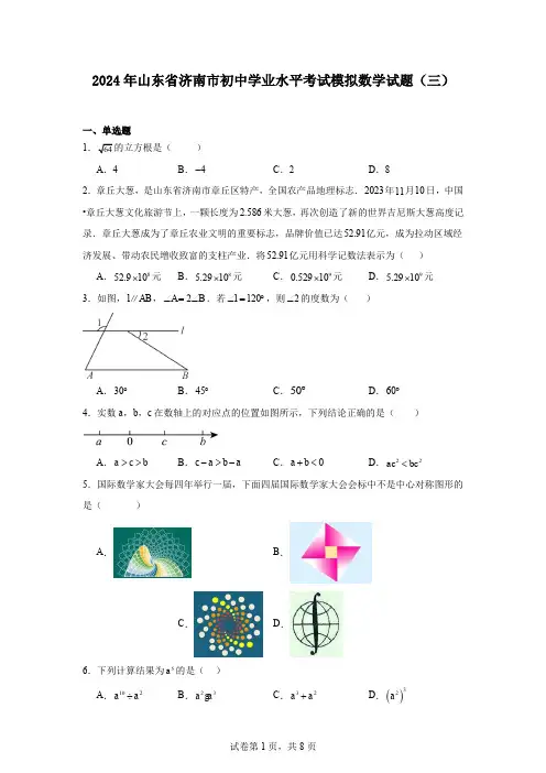 2024年山东省济南市初中学业水平考试模拟数学试题(三)
