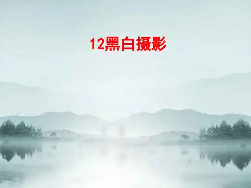 摄影基础教学课件：黑白摄影可编辑全文