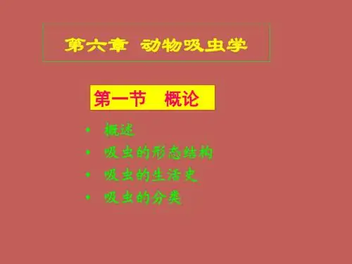 动物寄生虫病学第6章 吸虫病1