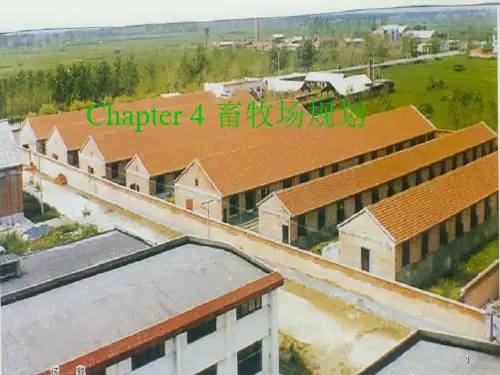 家畜环境卫生学畜牧场规划PPT课件