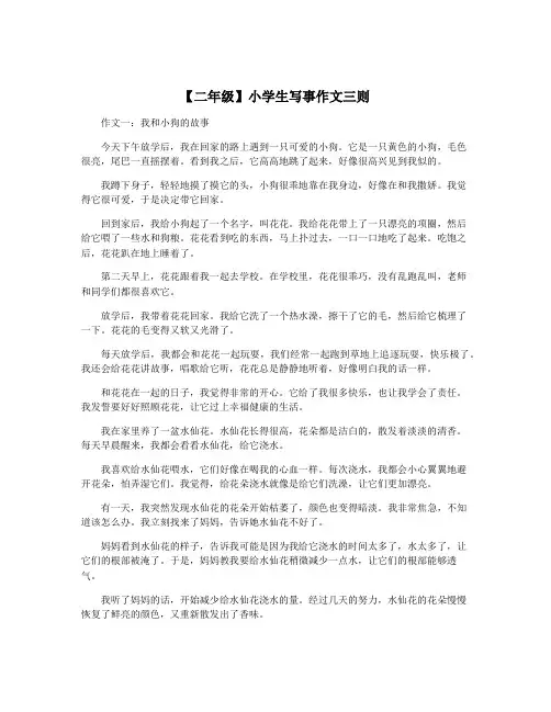 【二年级】小学生写事作文三则