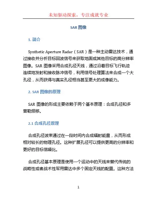 SAR图像