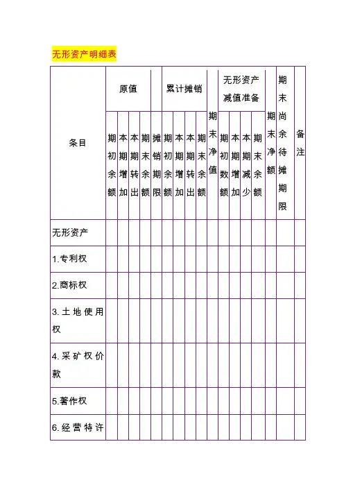 无形资产明细表