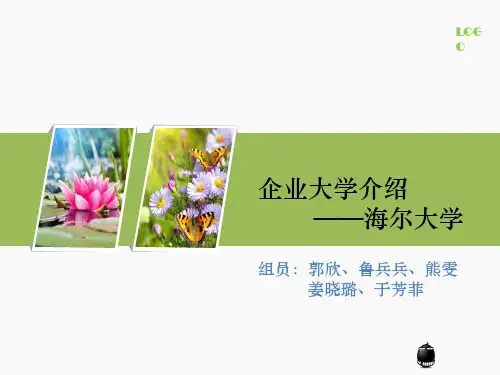 企业大学 海尔大学ppt课件