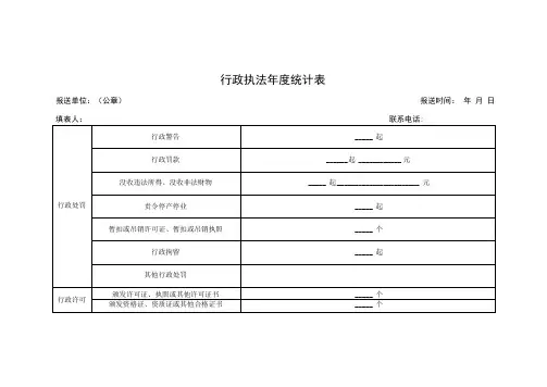 行政执法年度统计表