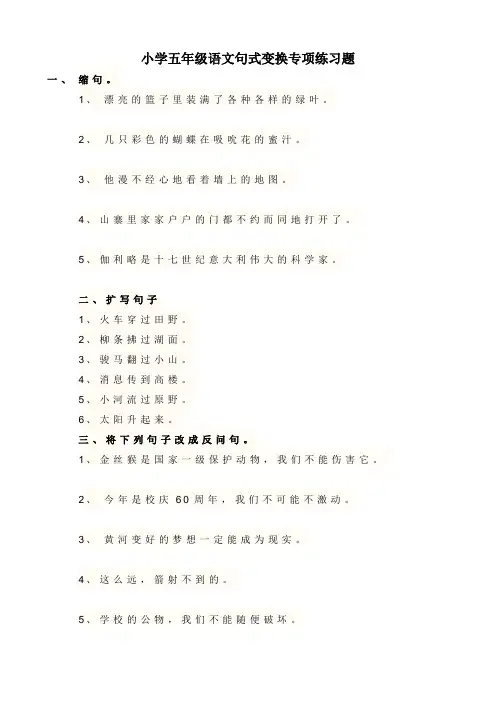 小学五年级语文句式变换专项练习题