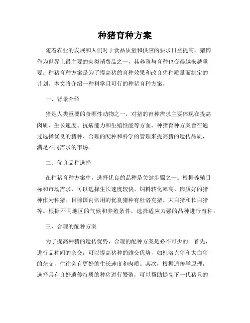 种猪育种方案
