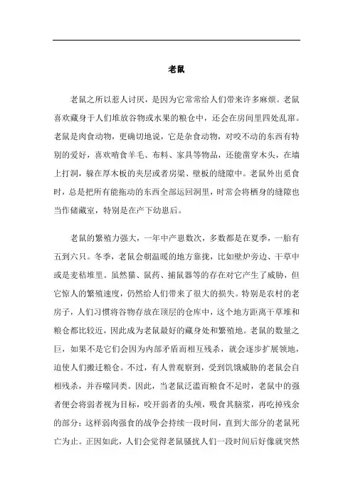 老鼠的生态与习性：为何令人讨厌且难以根除