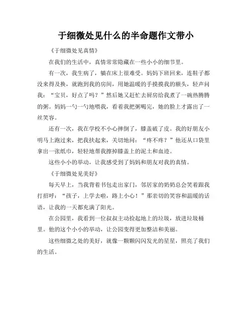 于细微处见什么的半命题作文带小标题