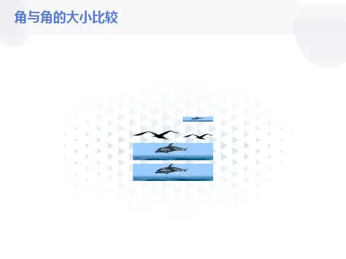 湘教版角与角的大小比较