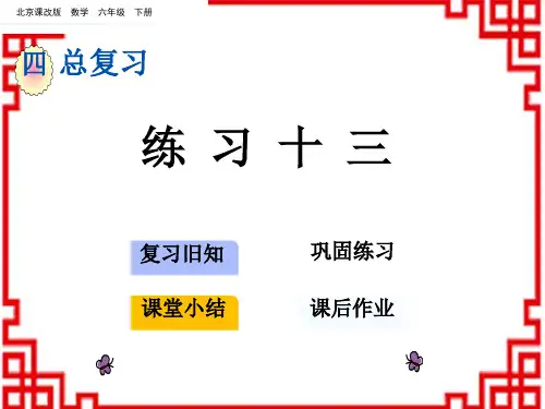 北京课改版数学六年级下册 第四单元 总复习 1. 数与代数 6 练习十三