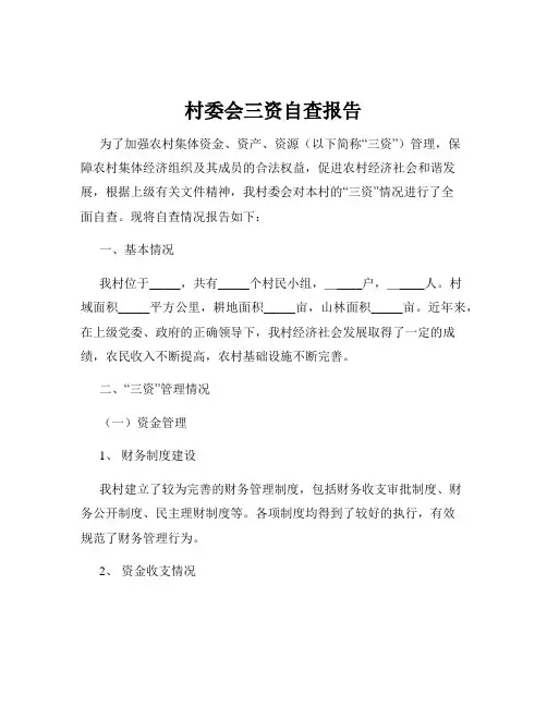 村委会三资自查报告