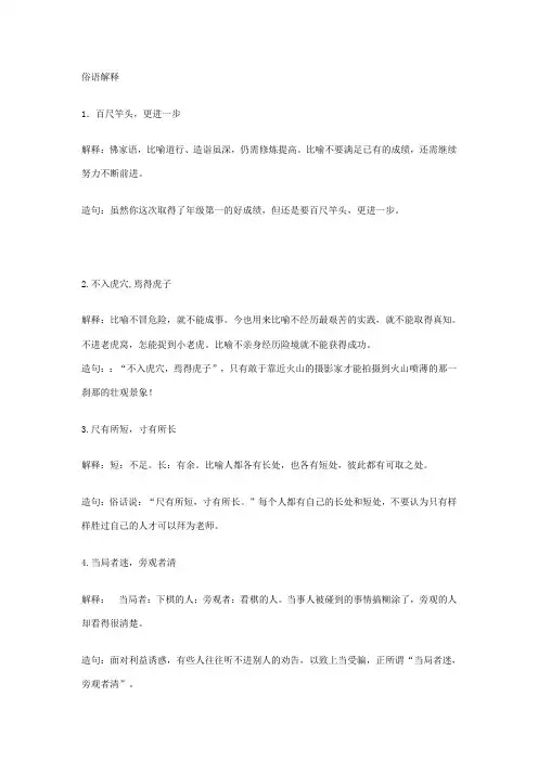 新-俗语解释