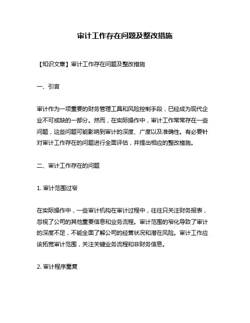 审计工作存在问题及整改措施