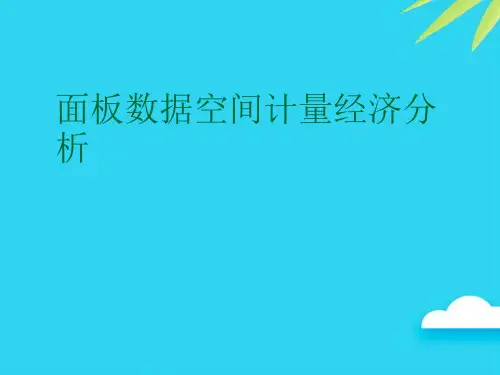 【正式版】面板数据空间计量经济分析PPT