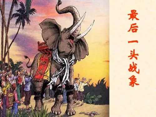 人教版小学语文六年级上册《 23 最后一头战象》 优质课课件_2