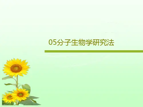 05分子生物学研究法99页PPT