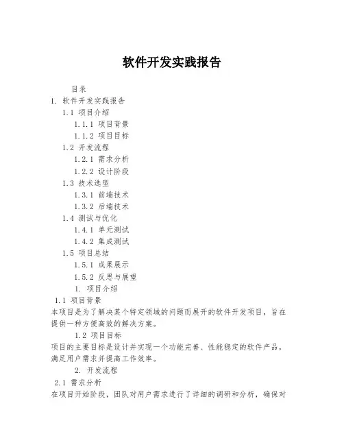 软件开发实践报告