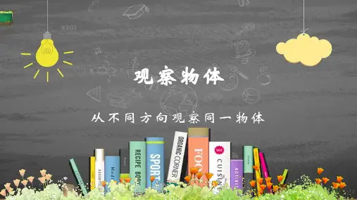 苏教版四年级数学上册第三单元 观察物体精品优质课件