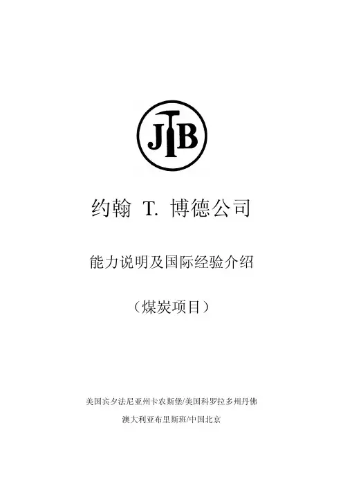 国际著名矿业咨询公司