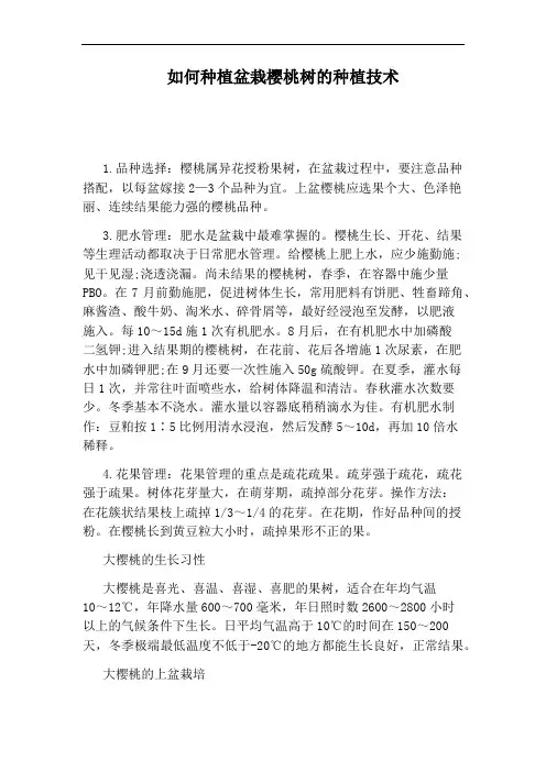 如何种植盆栽樱桃树的种植技术