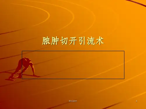 脓肿切开引流术39918