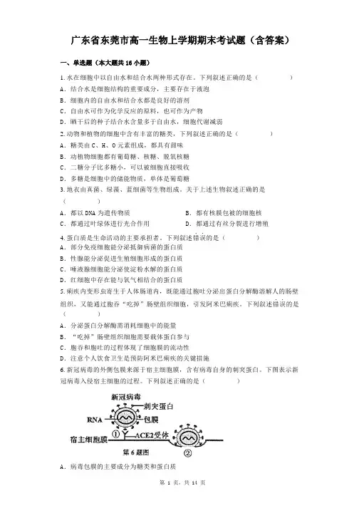 广东省东莞市高一生物上学期期末考试题(含答案)